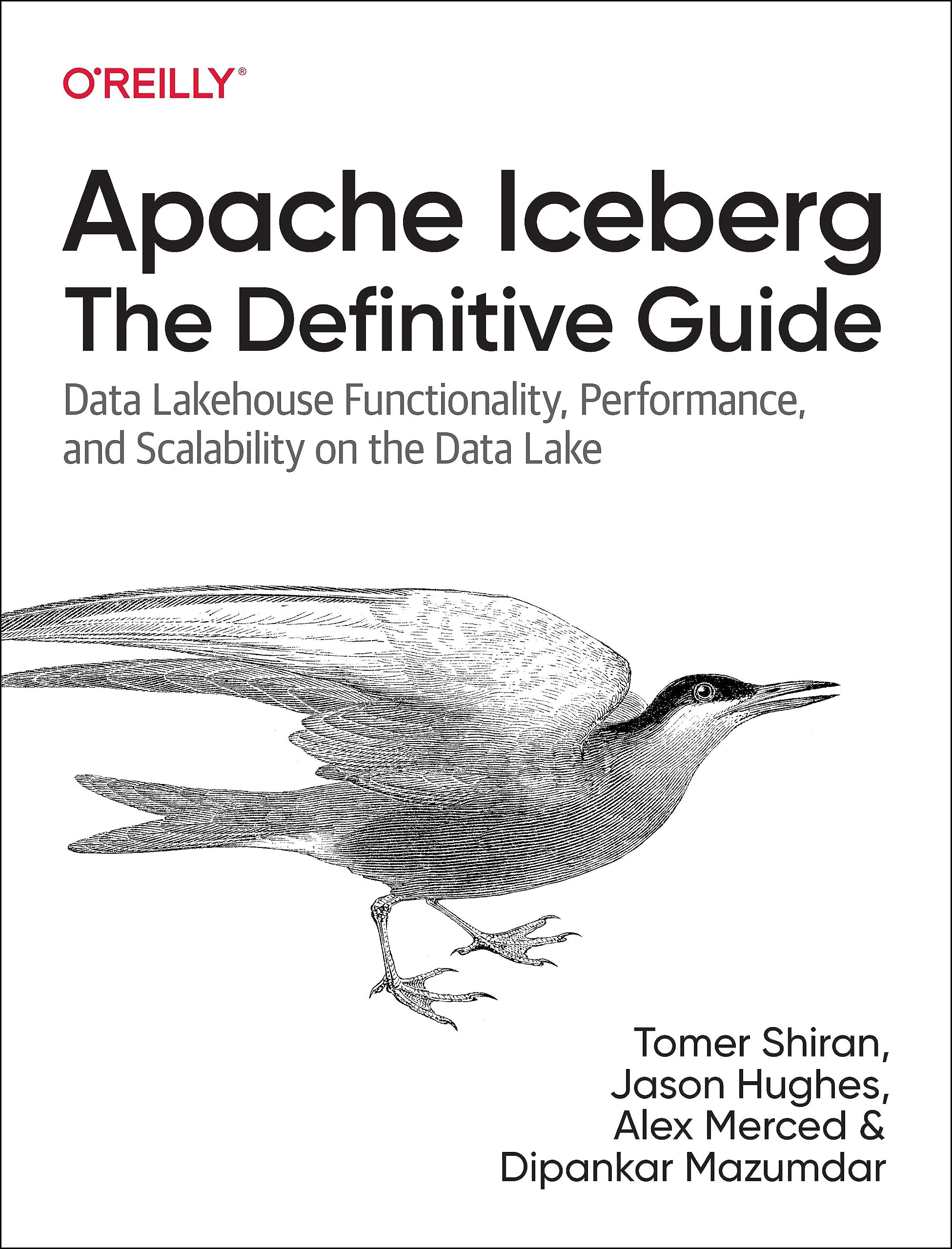 Apache Iceberg Guide